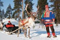 Lapland Reindeer Safari from Rovaniemi Including Sleigh Ride