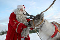 Lapland Santa Claus Village from Rovaniemi Including Sleigh Ride and Lunch