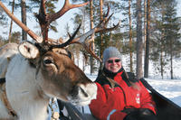 Lapland Motoneige Safari à une ferme des rennes de Rovaniemi