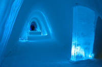 Northern Lights Experience at the Snow Village from Levi