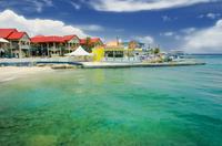 Grand Cayman Shore Excursion: Island Sightseeing Tour by 4x4