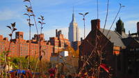 New York City Walking Tour of The High Line 