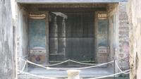 Pompeii: Guided Small Group Tour 