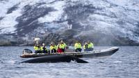 RIB Whale Watching Cruise from Tromso