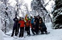 Tromso Winter Adventure: Snowshoeing, Tobogganing and Cross-Country Skiing