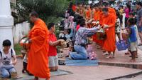 Morning Almsgiving and Market Tour in Luang Prabang 