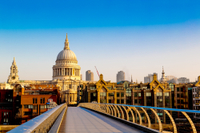 Visite privée personnalisée: Londres en juin journée