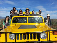 Wine Tour by Hummer from Santa Barbara or Solvang