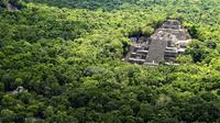 Archaelogical Site of Calakmul and Biosphere Day Trip from Villahermosa