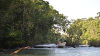 Montes Azules Biosphere Reserve Day Trip from Palenque Including Boat Ride 