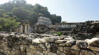 Palenque Archaelogical Site Tour and Misol-Ha Waterfall from Villahermosa