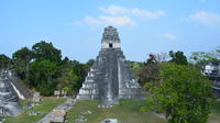 Tikal National Park Overnight Tour from Palenque