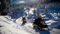 Snowmobile British Columbia Tour for Intermediate Riders