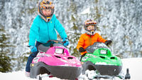 Snowmobile Family Tour