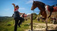 Cretan Horse riding in Finikia and Giouchtas Mountains