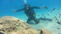 Scuba Diving Course in Crete