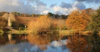 Small-Group Fleurieu Peninsula Food and Wine Experience by 4WD