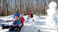 Excursion d'une journée Snow Lake Alpine Mountain Resort Y compris Yarra Food Valley Dégustation de Melbourne