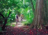 St Lucia Combo Tour: Jungle Biking and Snorkeling Adventure