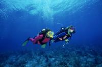 St Lucia Scuba Diving Adventure for Certified Divers