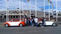 The UNAM Campus VW Beetle Convertible or Classic Combi Private Tour