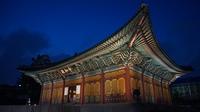 Central Seoul Evening Tour including Deoksu Palace, Seoul Plaza and Dongdaemun Market