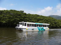 Iriomote Island and Yubu Island Tour with Optional Underwater Boat Tour