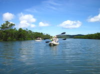 Iriomote Island Kayaking Eco-Tour Including Sangara Falls Hike