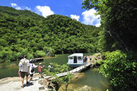 Iriomote Island Tour: Urauchi River Cruise, Maryudo Falls Hike and Kayak Tour