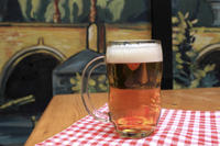 Prague Czech Beer and Bar Evening Tour