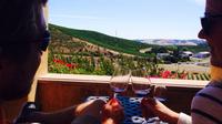 Half Day Sonoma Wine Tour from San Francisco