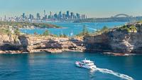 Bondi Beach Curiosités Croisière de Sydney, y compris Sydney Harbour Bridge, The Gap et Sydney Opera House