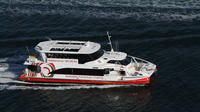 Cruise Sydney Harbour Matin Tea