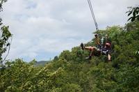 Montego Bay Ultimate Zipline Adventure