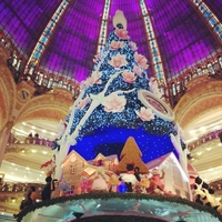 Tour à pied dans Paris : Plats et décorations de Noël