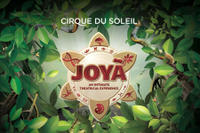 JOYÀ by Cirque du Soleil® at Vidanta Riviera Maya