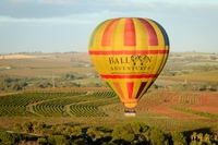 Survol de Barossa Valley en montgolfière avec petit-déjeuner au vignoble image 1 Survol de Barossa Valley en montgolfière avec petit-déjeuner au vignoble image 1