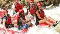 Sarapiquí River Whitewater Rafting Tour from La Fortuna