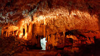 Aventure à la grotte Harrison et à la grotte Animal Flower image 1 Aventure à la grotte Harrison et à la grotte Animal Flower image 1