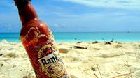 Banks Brewery and Mount Gay Rum Tour in Barbados