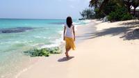 Barbados Island Sightseeing Tour