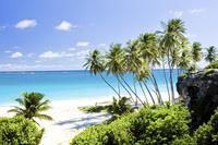 Barbados Private Custom Island Tour