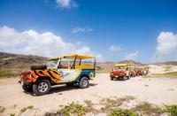 4x4 Tour and Natural Pool Snorkeling in Aruba Including Lunch or Dinner