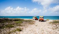 Aruba Off-Road Island Tour Including Natural Pool and Baby Beach