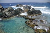 Aruba Shore Excursion: 4x4 Tour and Natural Pool Snorkeling