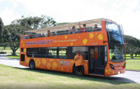 Tour de Waikiki en tramway à Arrêts multiples Ë Honolulu