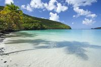 Private Waterlemon Cay et Buck Island Snorkel Tour