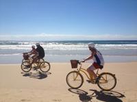 Gold Coast Bike Tour from Surfers Paradise