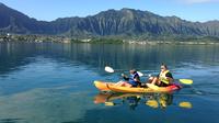 Kaneohe Bay Kayak and Snorkel Tour to Coconut Island