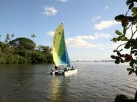 カネオヘ湾でのカタマラン セーリングとシュノーケリング ツアー カネオヘ湾でのカタマラン セーリングとシュノーケリング ツアー